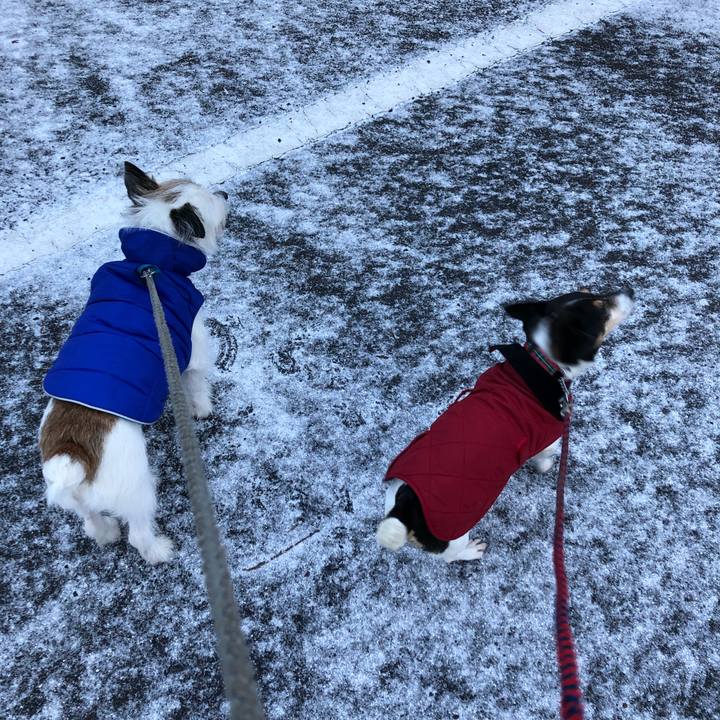 B08e799d 1492 4eab ada3 602bf90674c1 1546042641098