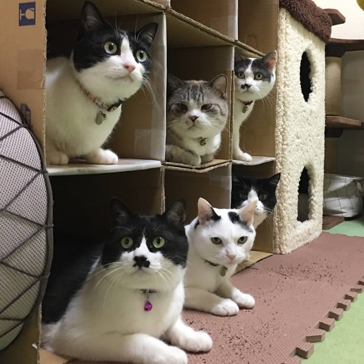 B08e8628 737c 4c72 9803 1c5433e7ffbf 1566643923050