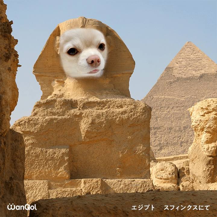 B08e8ac3 3383 4118 9e0b 38ce4e726534 1615380248845