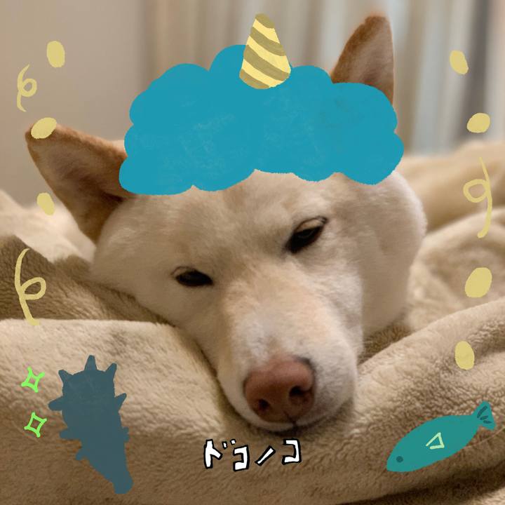 B08ea044 74cc 4e5e a319 1263b278369c 1706760520216