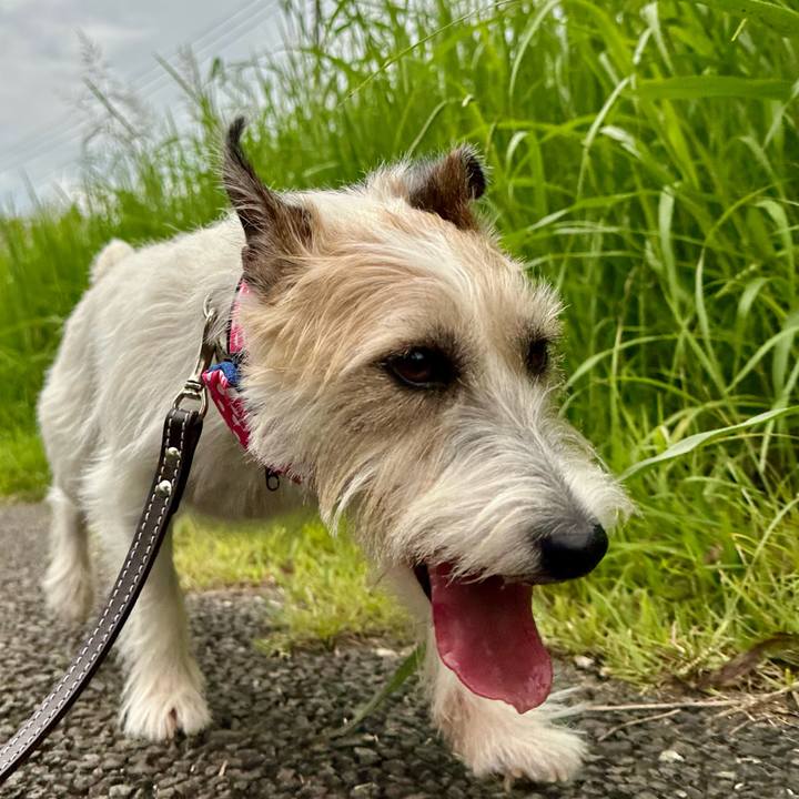 B08eb8c0 758f 4b26 b235 6ccf5e76e867 1755290542736