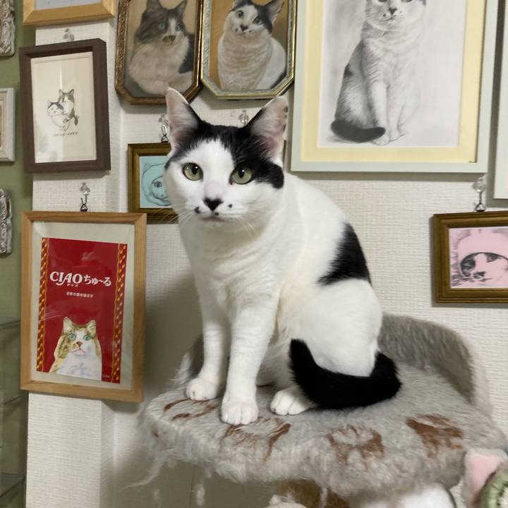 B08eb8de cd70 4391 820a 51b90ea086e7 1773003386875