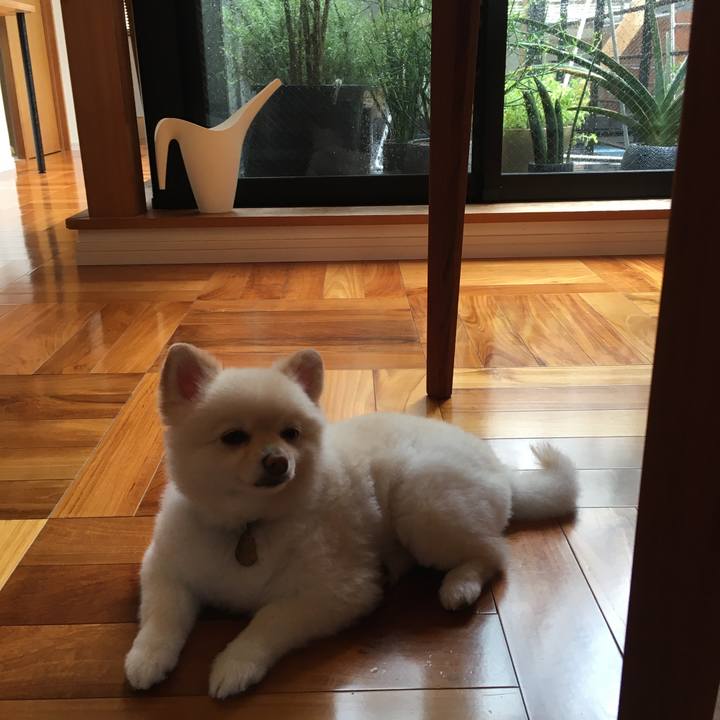 B08ec3c3 eb31 4083 b44d 594f17689768 1599191512088