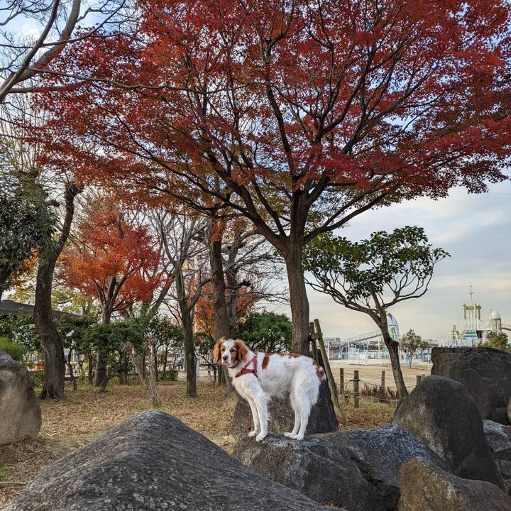 B08ecd79 850a 4774 8a20 cde749c04e46 1639136299804