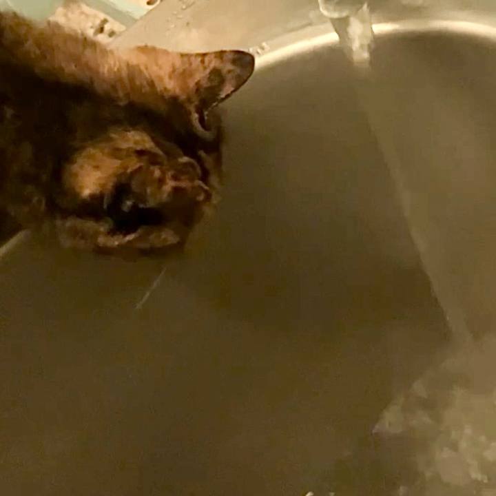 B08ed050 1347 403d ab2e 3ff2b2fe054f 1733946738086