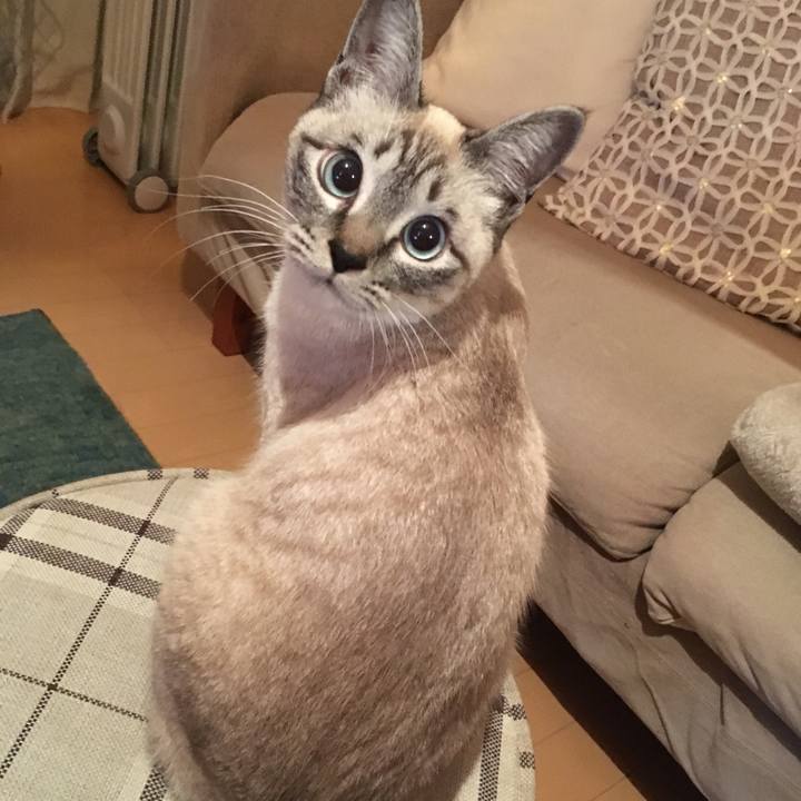 B08ef65d a07c 4473 9f0b e7f9cdb0d8e2 1550062126762