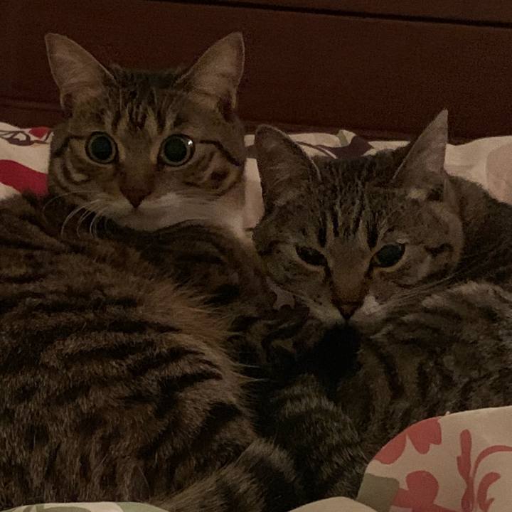 B08efea0 df0f 4e55 a3bc 018a01efa6a2 1554718669824