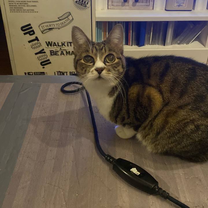 B08f0219 c713 4a38 b3d9 6f643e1d59ab 1669562391813