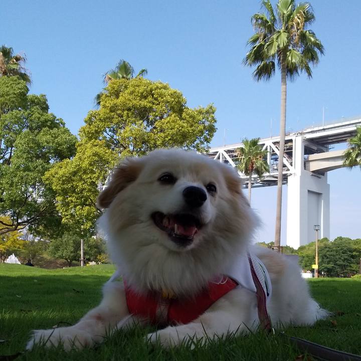 B08f1756 e71e 4fa3 9cb2 4ed93cacaed8 1564210559568