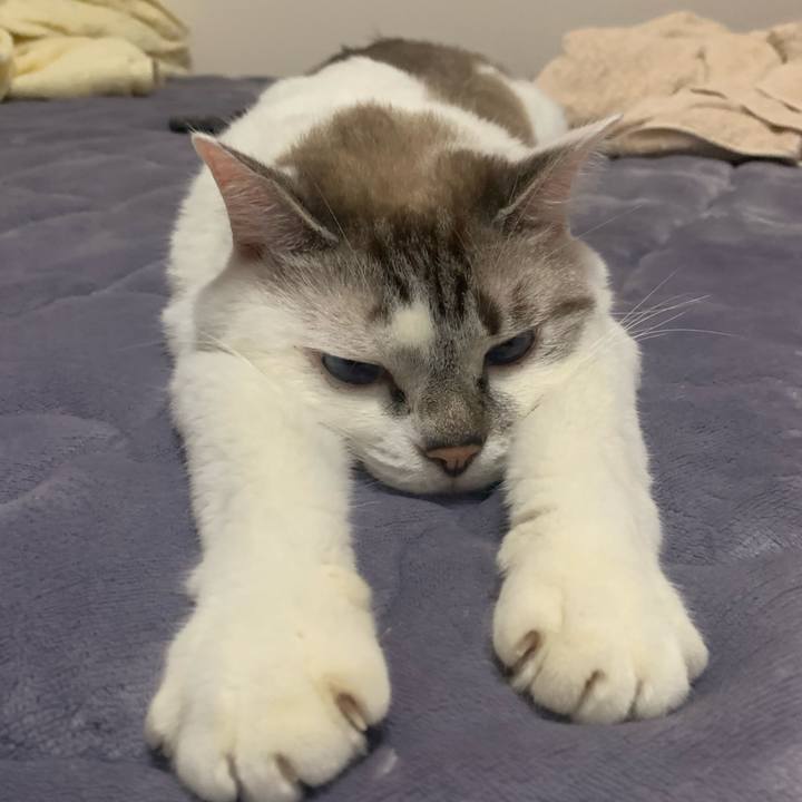 B08f178e 48bd 40a3 a7eb 1f8366386565 1634346212778