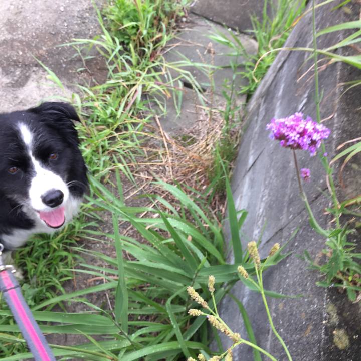 B08f2ac2 98dc 4dfc b870 8a00e0df1f45 1561679223955