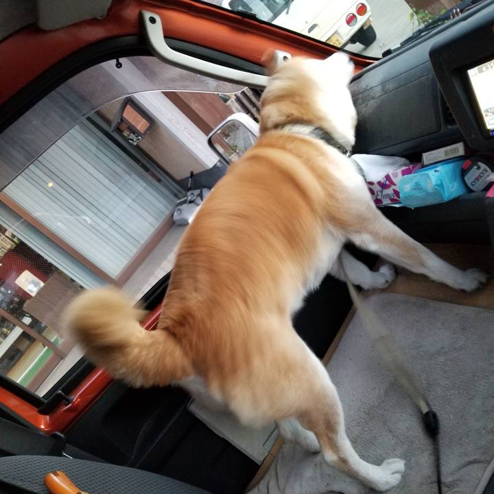 B08f2c71 1f0e 4abc b682 d04daf99b922 1668412528051