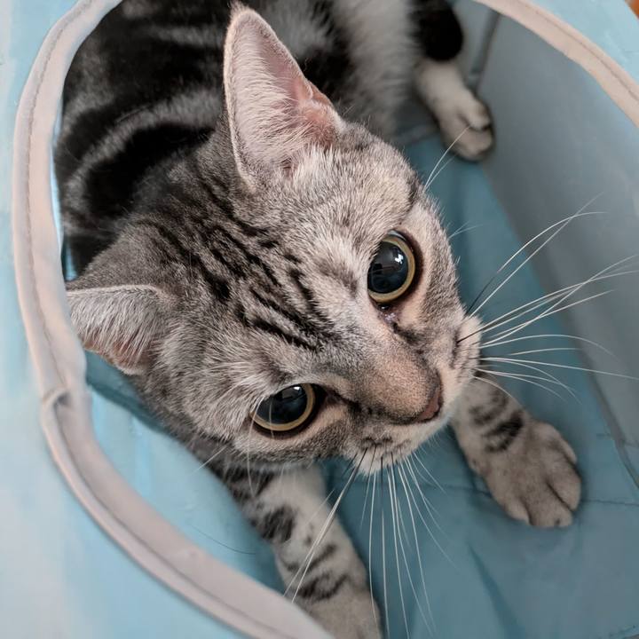 B08f38dc 8107 47b3 82f6 0ab19cd80314 1726785907666