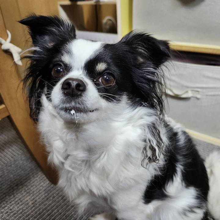 B08f6731 ef3f 406f b8cd e9ebb220e237 1764026736986