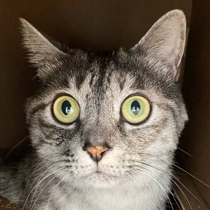 B08f7d01 967f 4e3f 8dcf 87fb20ba0c13 1636773272790