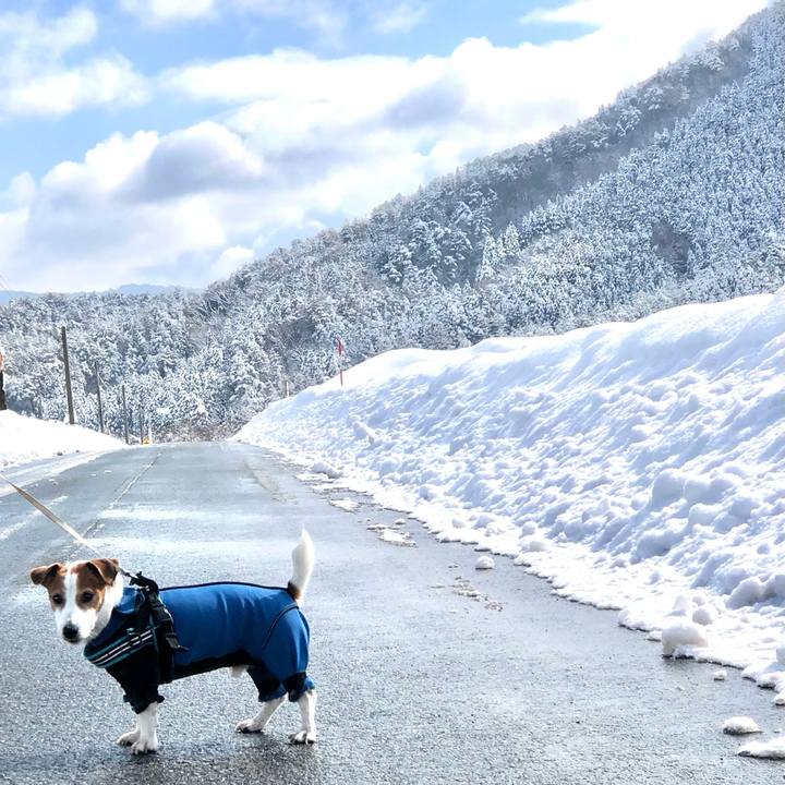 B08f9fcb 94e8 4353 bf15 1f4e64105680 1741063307165