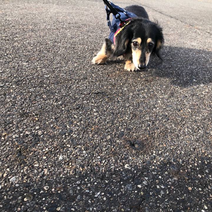 B09002a9 fb3c 445e 99e5 d6ad1d80b58c 1611879898915