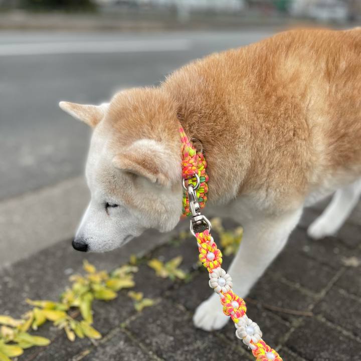 B09066fb 1188 4b36 84a6 f383faa067cb 1642837945006