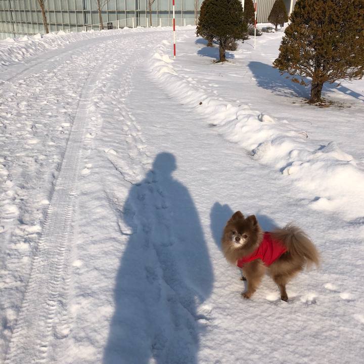 B0906d0c c0d7 4713 ad84 5eaa0883f9f2 1640841899418