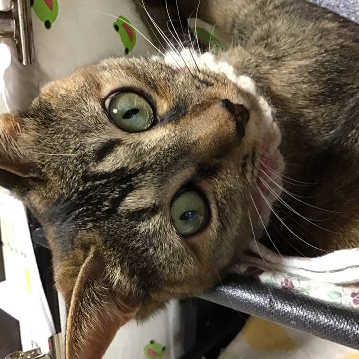 B0906ead 26e1 4fc4 94c8 b664c50c7b83 1626776277880