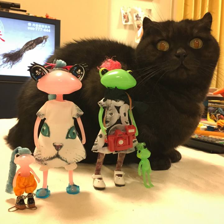 B0907ab3 69f5 4688 83b6 9b0ca7215d72 1512142828390