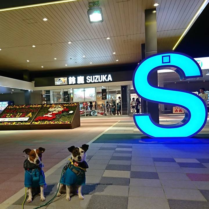 B0909ff2 6769 4a62 bf9c 3abaa86058ff 1555842013107