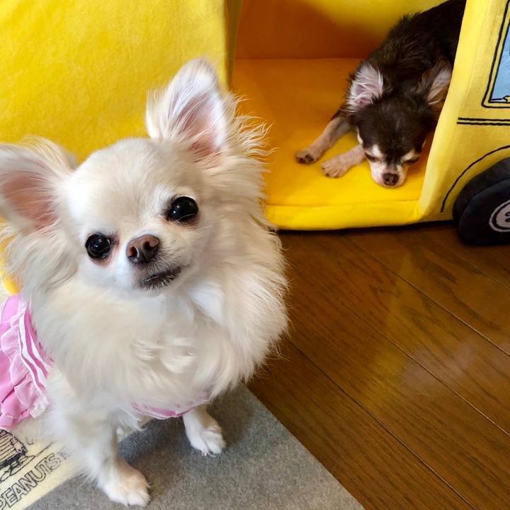 B090e209 915a 4aa7 8cfe 232ed6610b7b 1536979005923