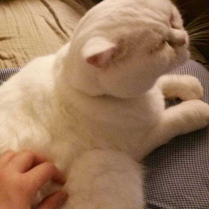 B090e9f2 f36f 43e3 89f3 550a4d32aced 1509530360217