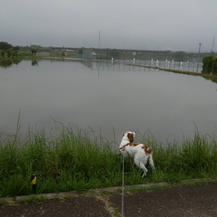 B090f431 9c2b 404b 8bce 65c9582f4c4f 1526268362250