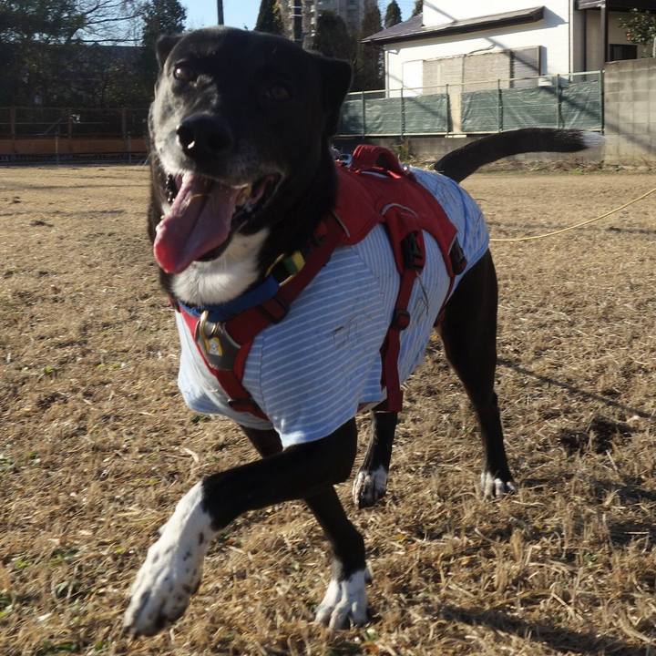 B090f987 da0b 4fdc af4c f28b4b174a6e 1672276632257