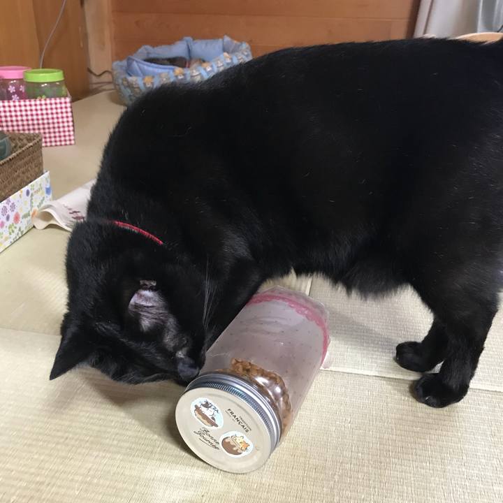 B090fec8 5258 4dbf 87af 77015b142126 1528532773710