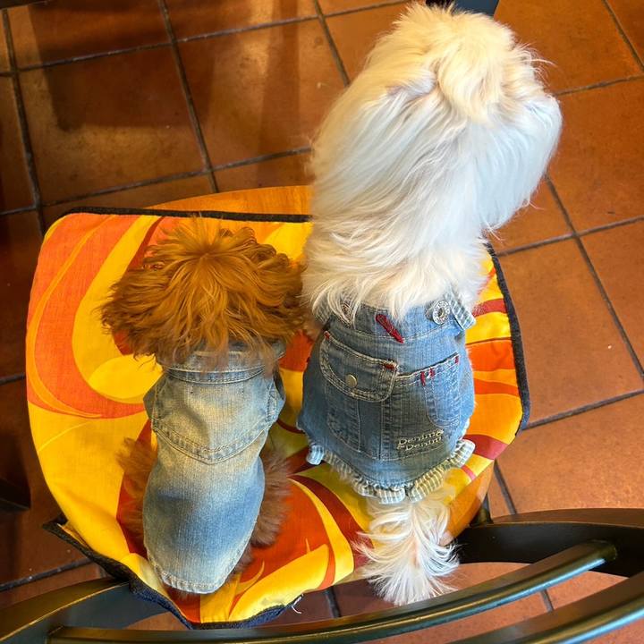 B09108ab 8a2e 417a 88f4 83d72888d0b3 1696940086694