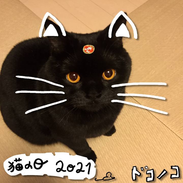 B0912e0a fa2b 4873 a6ef da3e7c139d3c 1613996353422