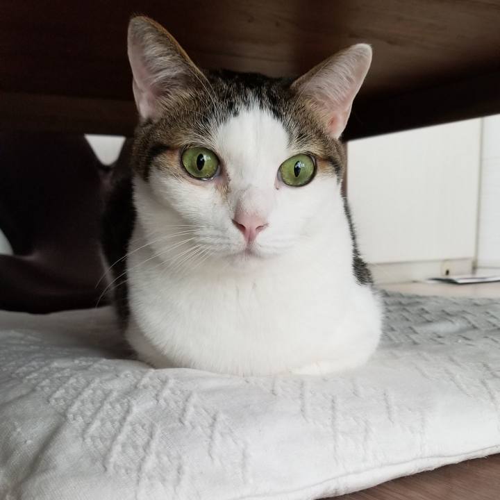 B0918904 ed5a 4010 ba38 429001de419c 1555451135763