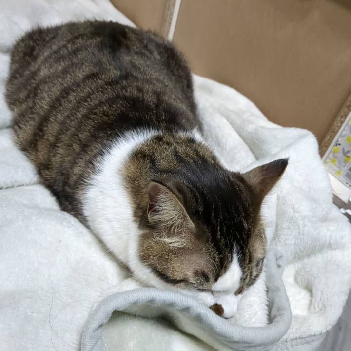 B091bee9 3dfe 4e49 ba79 ad0f56644ed8 1671106567175