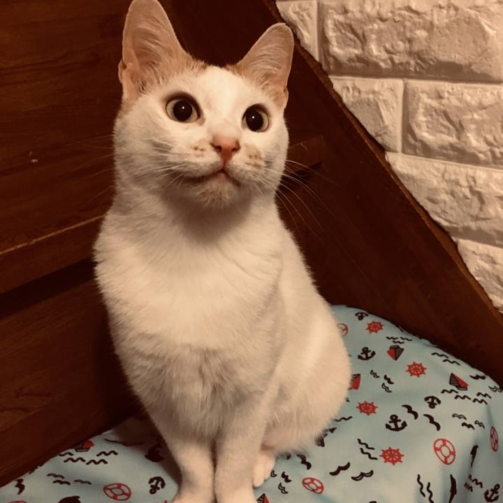 B091d30a 904d 4a70 a357 0e51d27c2c5a 1562423791917