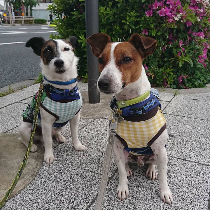 B091f028 99bf 40cd 9e67 0ef3ae0928ea 1557697626437