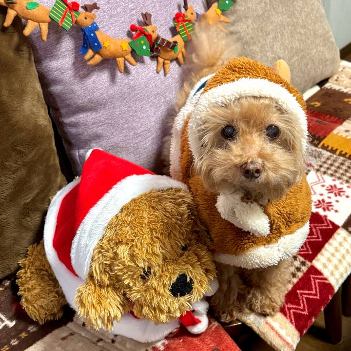 B091ff4d f4e4 4854 a2bc 29e9bdbdf6f6 1766564321594