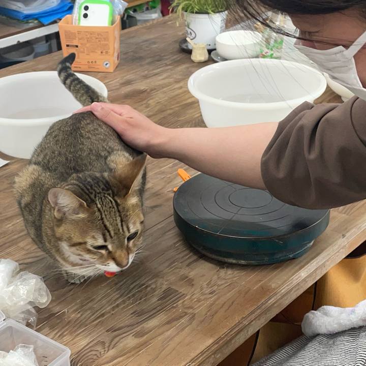 B0922a28 d06a 4b92 b191 be2e3d1a25ae 1741320073485