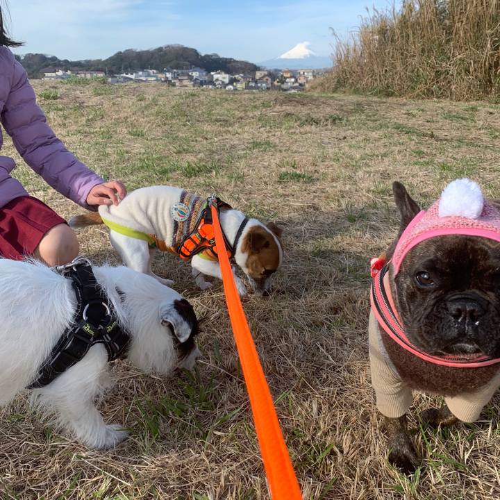 B092375a 90d3 4076 9c12 bf4a3b61d3e9 1545788001861