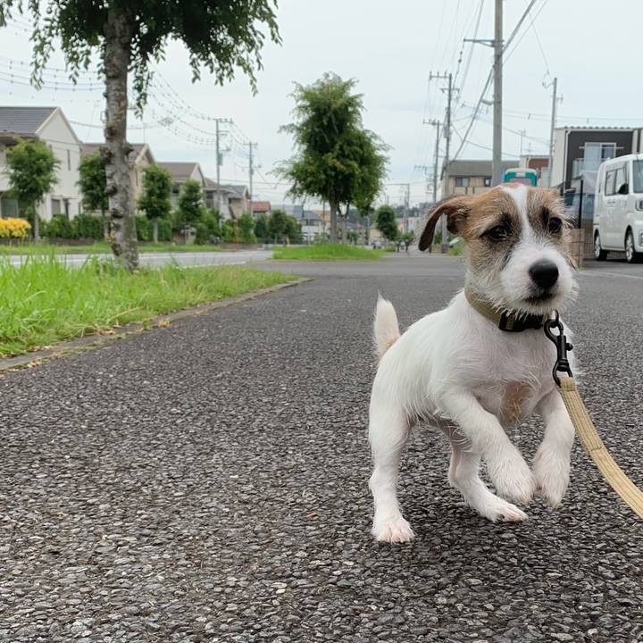 B09247ef 6fe7 443b b5bd bcedc98f0037 1561267845594