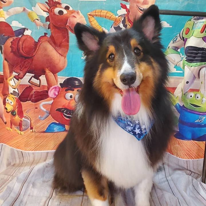 B0925408 76f7 434f afb3 4b9c2736dce3 1685191044178