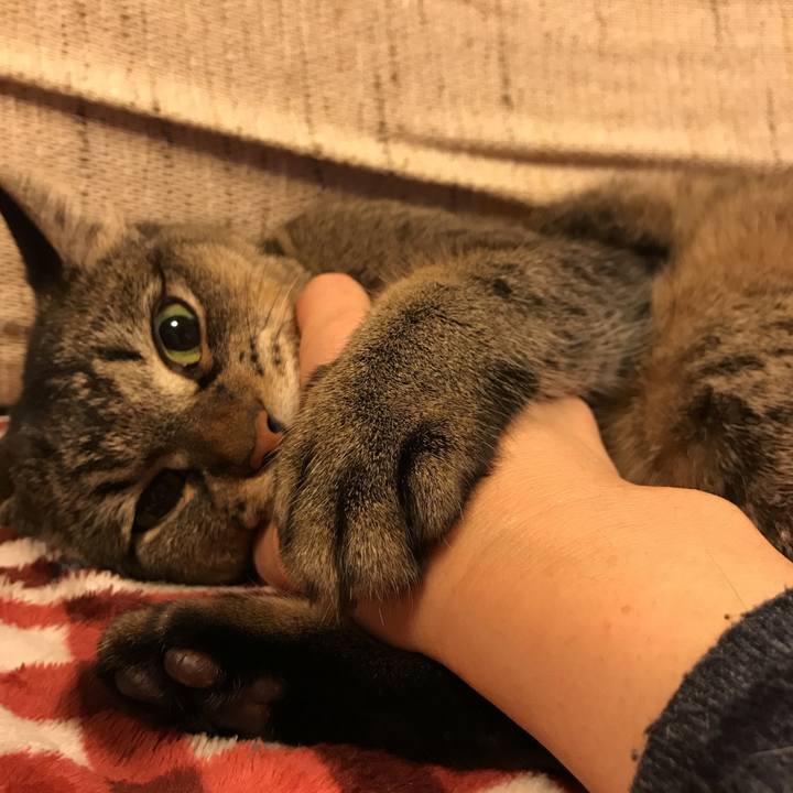 B09257a9 31cd 417e 8f20 596e0aaae4c6 1509114977466