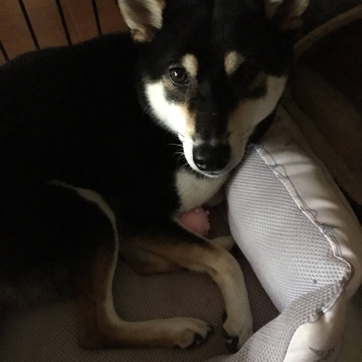 B09298b8 c00d 4eef aa1e 66e8fcc2737e 1537562047726