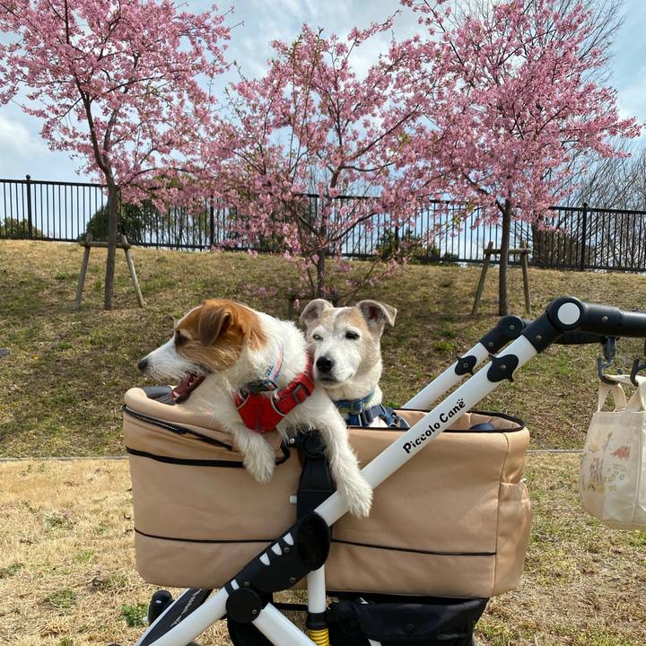 B0929956 e5cd 4603 a076 0c70629461ca 1678594250993