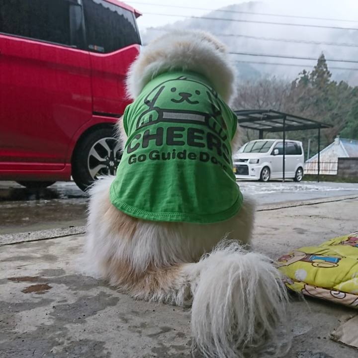 B092b149 7426 4213 81c3 ce762c7e6c4e 1552204476680