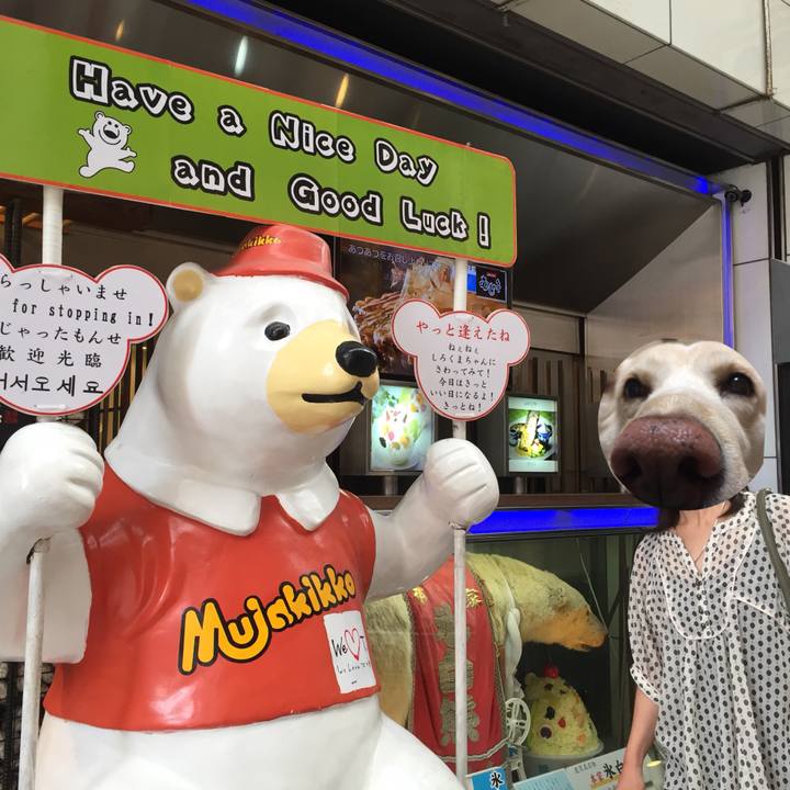 B092ca3c 0439 419a b4fa 657608e3660f 1527728527573