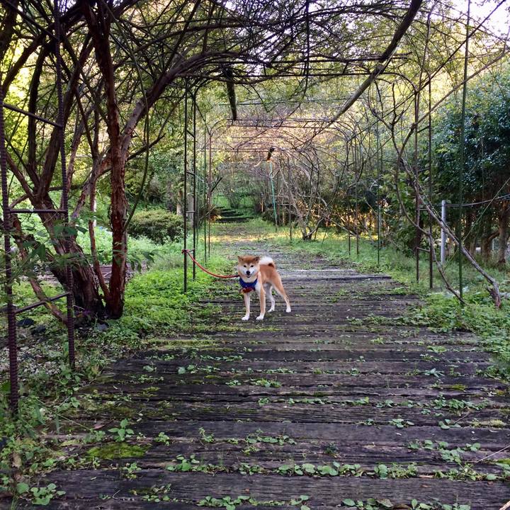 B0932d24 1cb6 45af 863c eab994cafa96 1509440965255