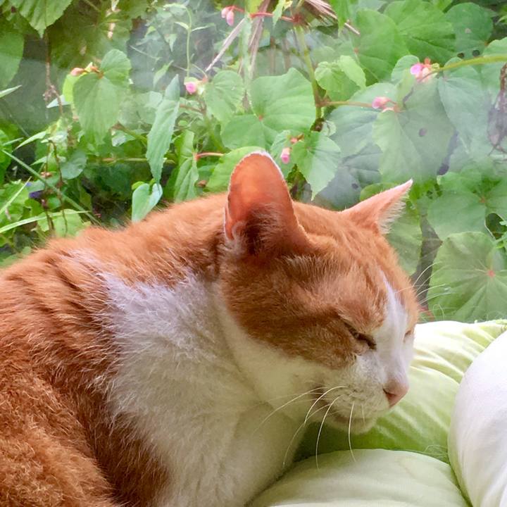 B093321c cdb5 43fb bb28 7f166147d5e4 1565420195935