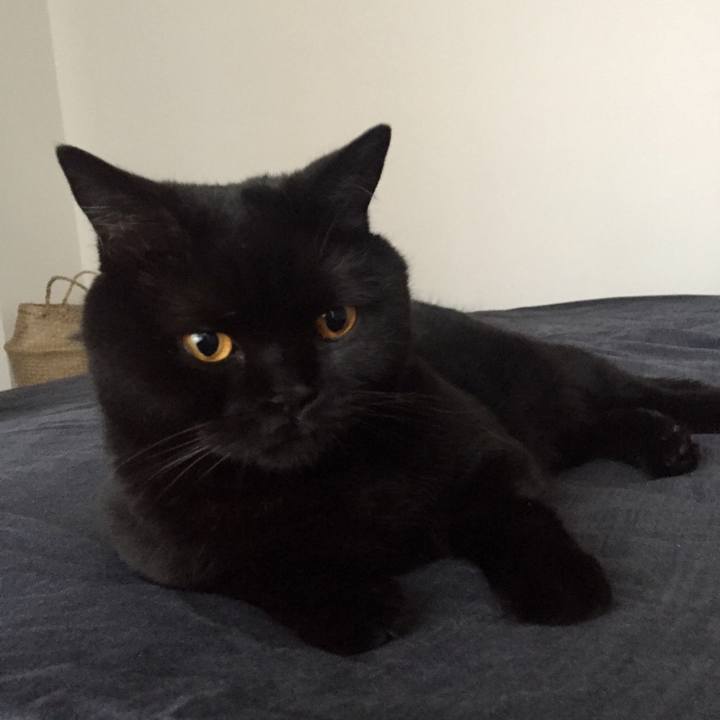 B09387e8 6dc5 4eb0 8304 2bb6e7675343 1560935854174